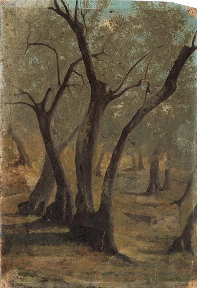 Alberi